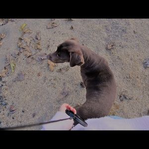 Meet your Posher, Karla